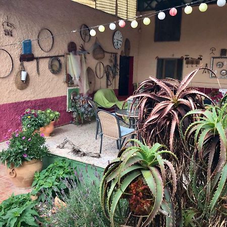 El SaladoCasa Fletch住宿加早餐旅馆 外观 照片
