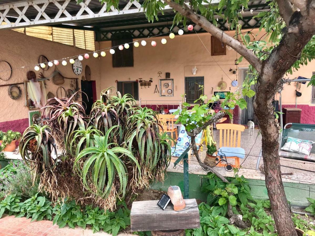 El SaladoCasa Fletch住宿加早餐旅馆 外观 照片