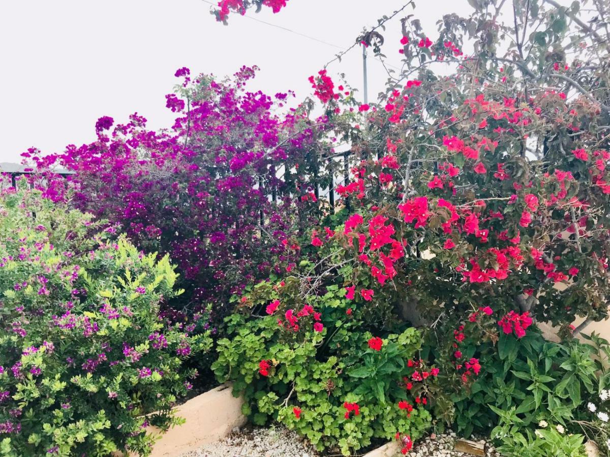 El SaladoCasa Fletch住宿加早餐旅馆 外观 照片